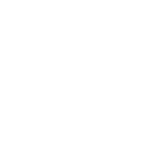 auth logo